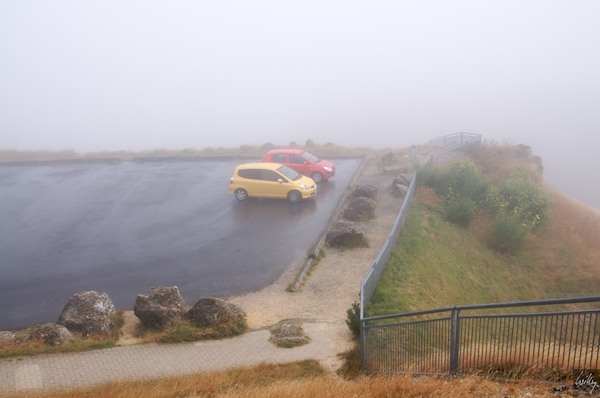 New Zealand 09 10  102